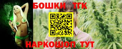 стаф Лесосибирск